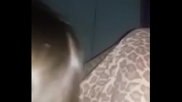 novia argenta me chupa la pija