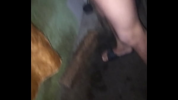 Alguna chica que me acompa&ntilde;e 