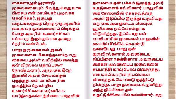 Tamil audio sex story - Exchange Husbands Part 4 