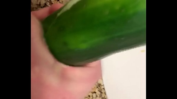 Cucumber Fucking And Jerking at the Hotel 