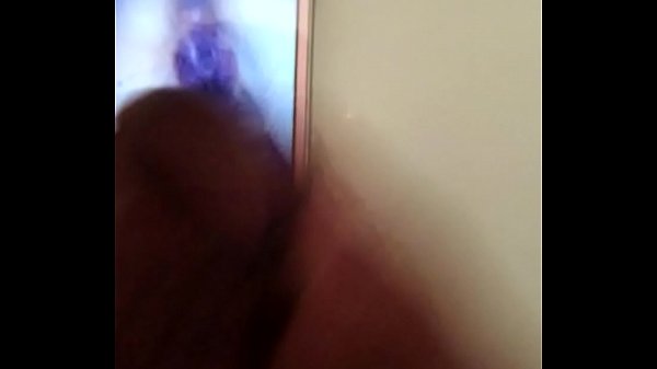 Tributo para pumelbisexual