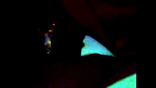 La_PutenciaPoringocha peteando