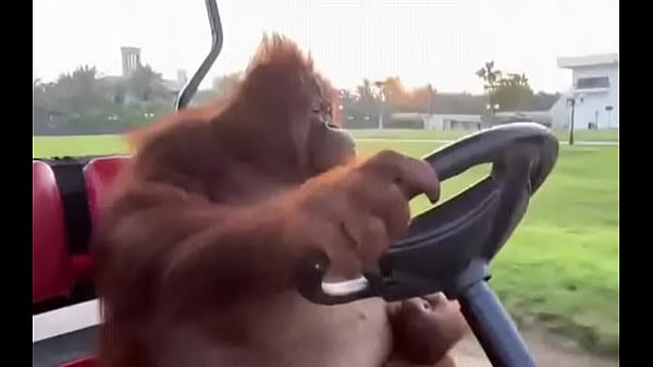 Nonton Fodendo Puta Dentro Do Saveiro thumbnail