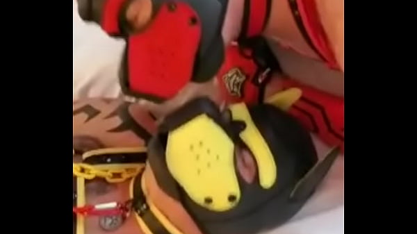 Play MP4 - Perrito's Birthday