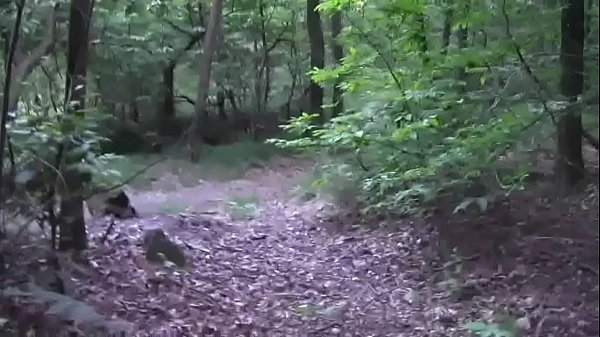 Hot nice cumshot in the wood 