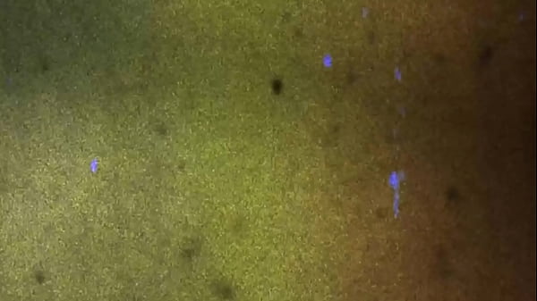 Play MP4 - GROOBYGIRLS&colon; UP THE HEPBURN