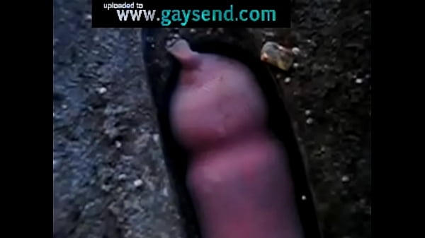 Hey, it looks like penis! 