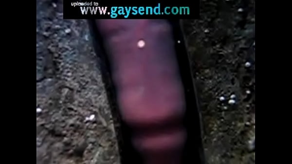 Hey it looks like_penis