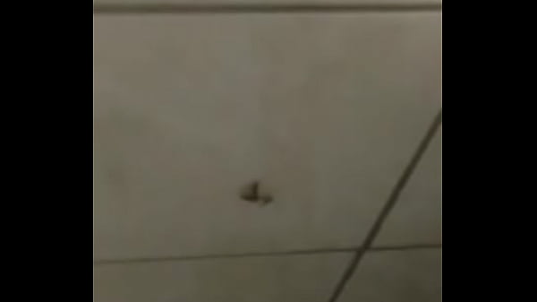 Baratas fodendo loucamente vericalmente pt2