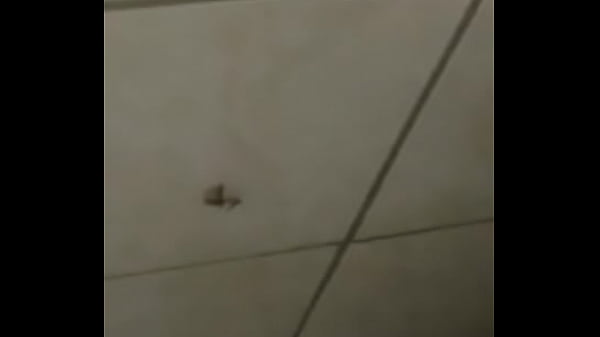 Baratas fodendo loucamente vericalmente pt2 