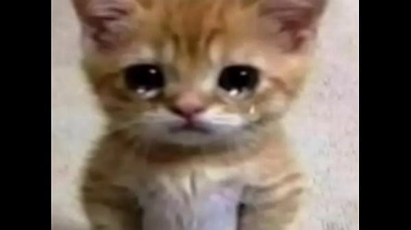 Not jacking off for you