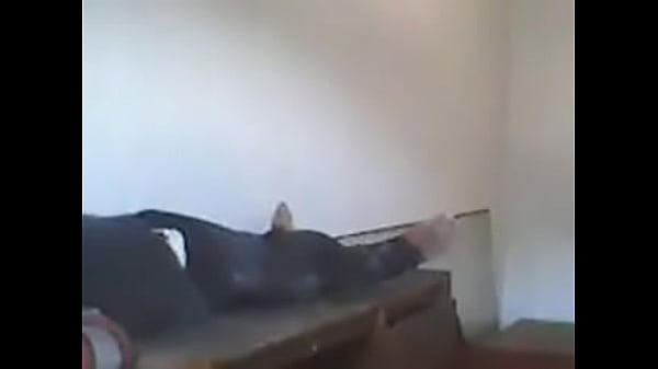 1029055 644658955617175 879128264 n(3).mp4 