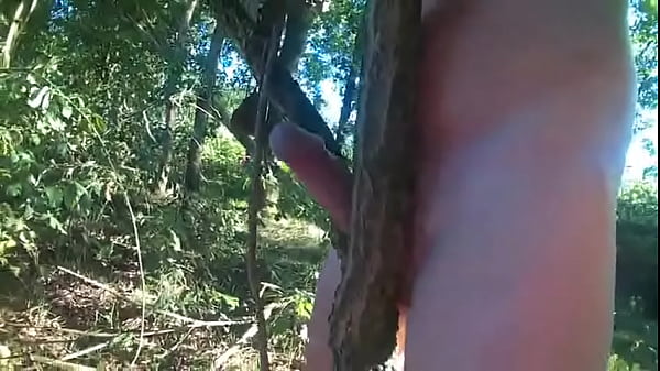 Play MP4 - Fucking trees 05