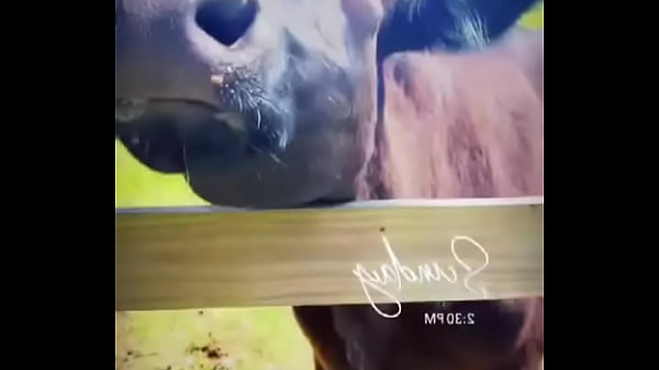 Starting to do more updates on my life through TikTok again. Go follow My birthday volunteering I did for these resc ... 