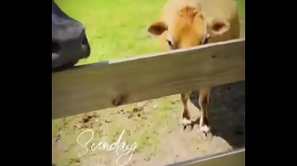 Starting to do more updates on my life through tiktok again go follow my birthday volunteering i did for these resc 