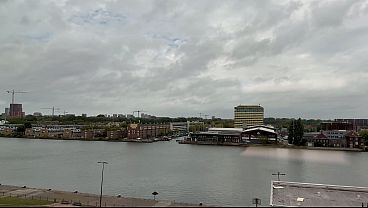 Nonton Good Bitch For Jack thumbnail