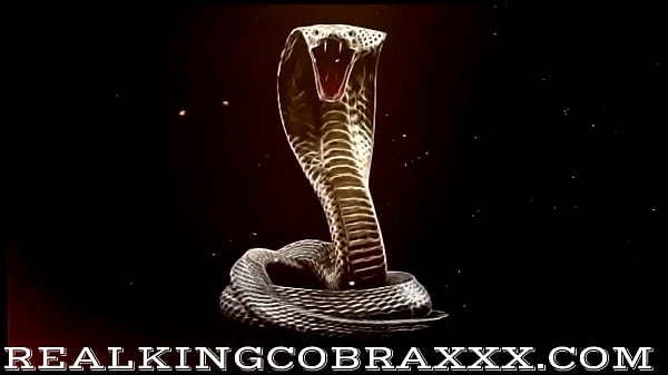 Happy you wanna cum up my ass cobra oh yeah baby gimme what i want hump days are happiest drilling and filling 