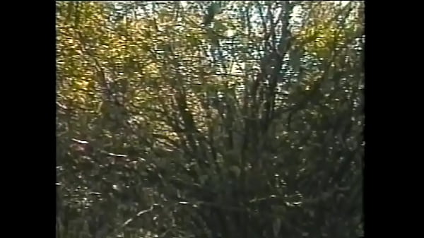 Play MP4 - Brazil Nuts &num;1 - A tropical heatwave