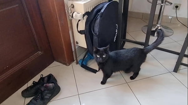 Lilly veroni vittoria divine mary rirder lynn lynx rubi storm behind the scenes anal piss