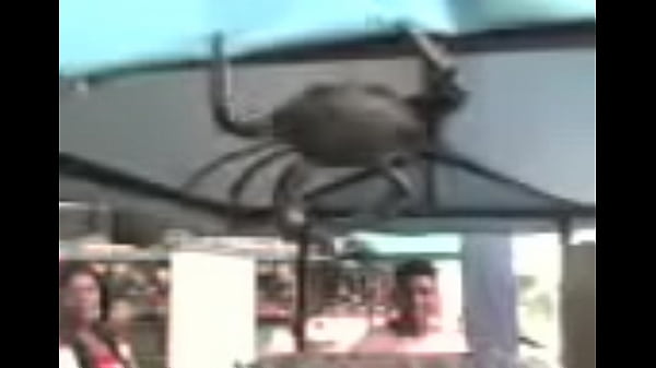 Nonton El Cangrejo Mamado thumbnail