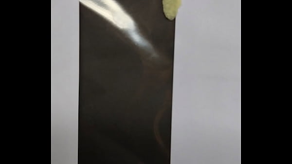 Foda teste 17 02 2022 