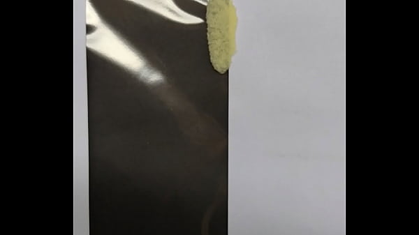 Nonton Foda Teste 17 02 2022 thumbnail