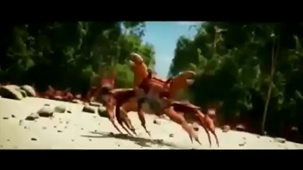 Olha essas coisas gostosas dan&ccedil;ando