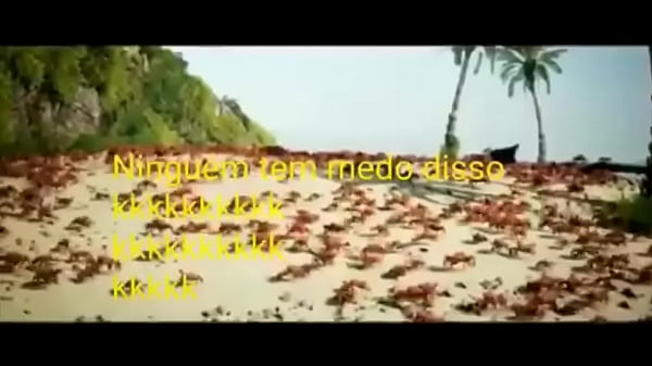 Olha essas coisas gostosas dan&ccedil;ando