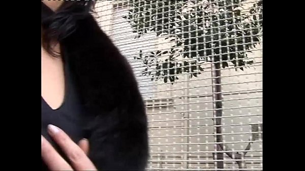 Play MP4 - Sex Party for Two nice Wives