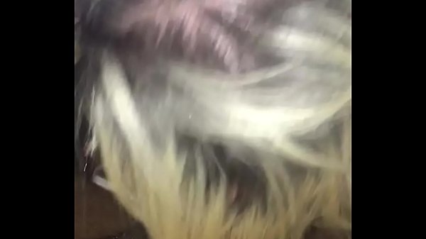 Tattooed wife sucks dark dick 