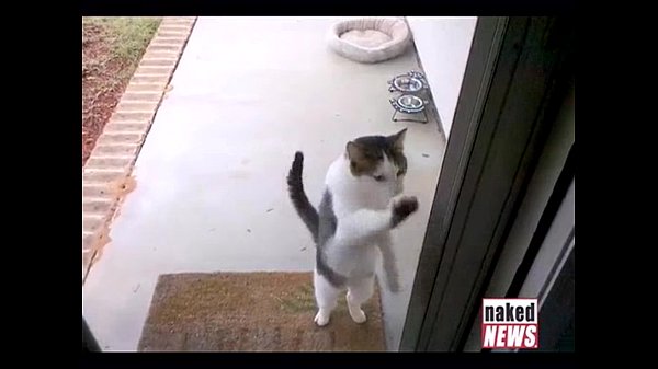 Nike commercial analysis and breakdownon Digital Buzz