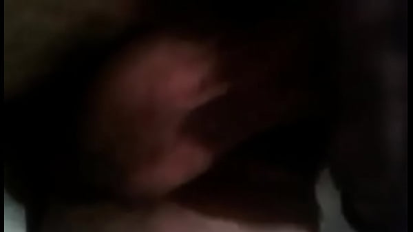 Oso se masturba parte 2