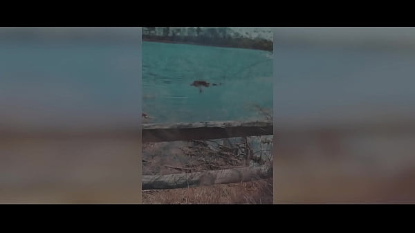 DIVINE SINNERS || HOT DUTCH MILF DANIQUE SINNERS FUCKING OUTDOORS 