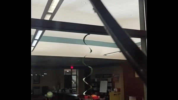 Windows that need to be tinted 