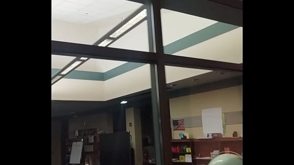 Windows that need to be tinted 