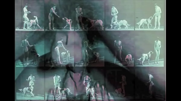 Dark Lantern Entertainment presents'Beauty And_The Beast'