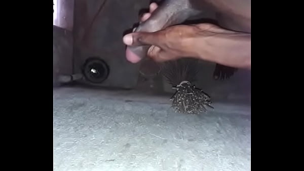indian teen cock