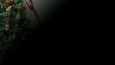 Nicollysummers - chat content #26 - LAN&Ccedil;AMENTOS JANEIRO 2026 - Jan 31, 2026 