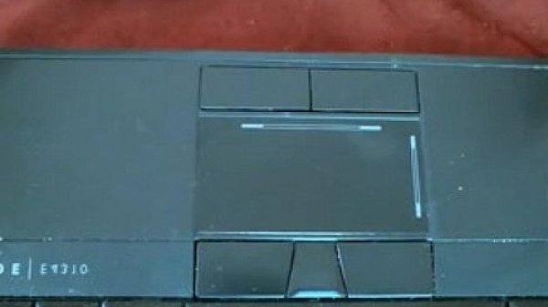 Brownhaired girl curled up on chair bating 