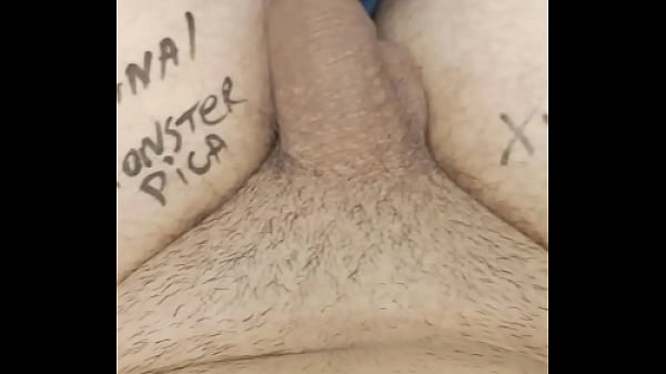 V&iacute_deo de verifica&ccedil_&atilde_o