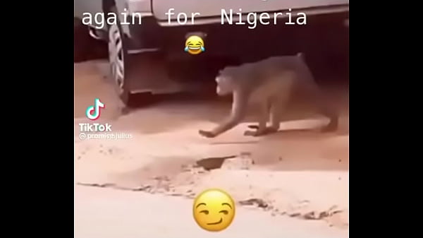 Nonton Fucking At Home thumbnail