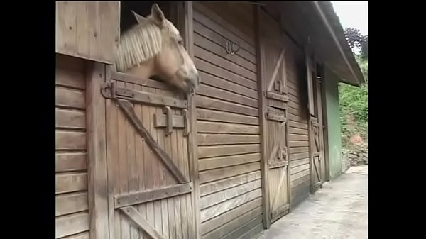 Play MP4 - Swarthy waitress in the saloon Evelyn helps weariful cowboy to while away an hour or two