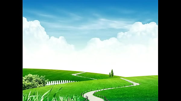 Food and object crushed outdoors