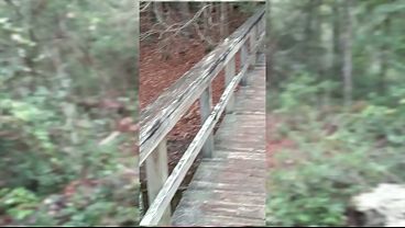 Dsc17-6) Petite Milf Babe Monica, Frolics Naked In The Forest, Blowjob, Fucked Doggy Style, Creampie thumbnail