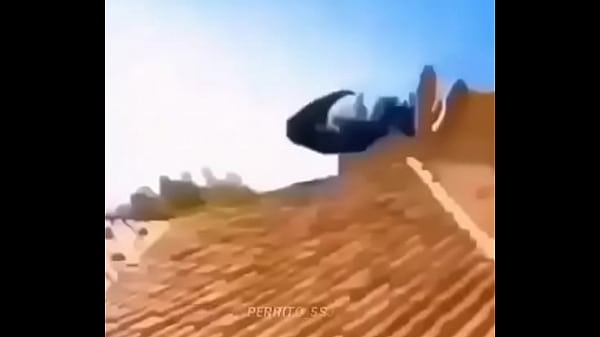 Lo que ense&ntilde_a el porno