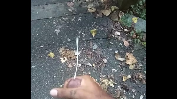 Early morning at Walking track