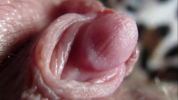 Pussy orgasm closeup