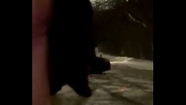 Exposed In Public 2025 thumbnail