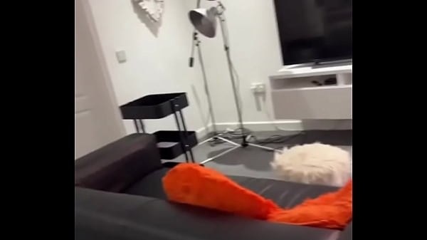 Guess what i got up to 