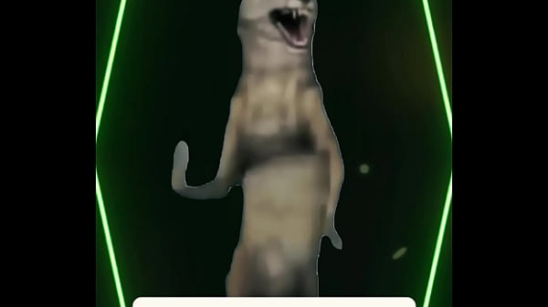 She didn&rsquo;t speak she didn&rsquo;t need to your fogged your heart skipped and you realized too late &mdash; this was not a love story this was a warning 